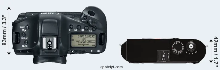 Compare 1DX Mark II versus M Typ 262 top