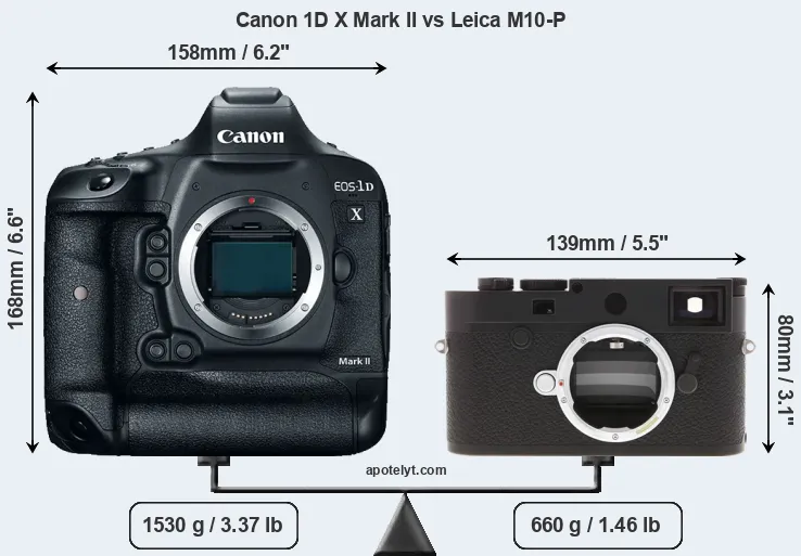 Size Canon 1D X Mark II vs Leica M10-P
