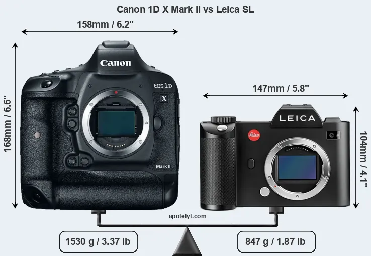 Size Canon 1D X Mark II vs Leica SL