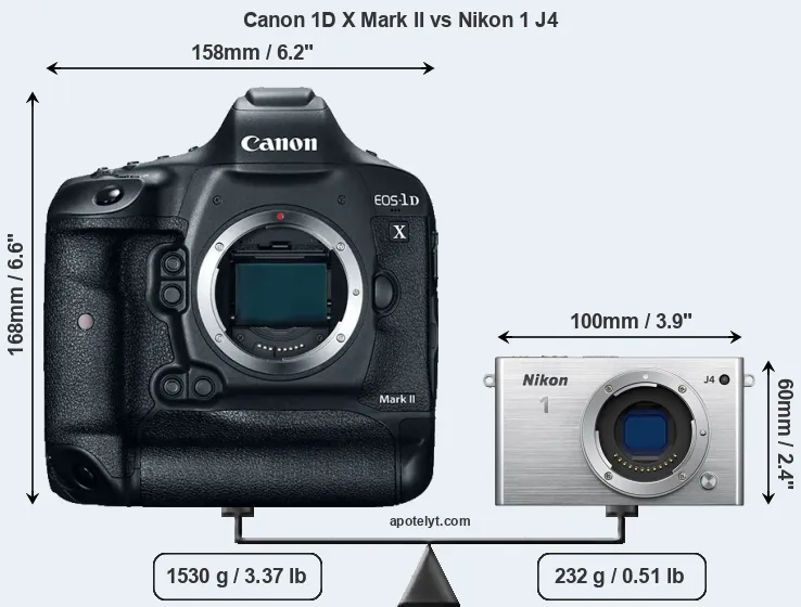 Size Canon 1D X Mark II vs Nikon 1 J4