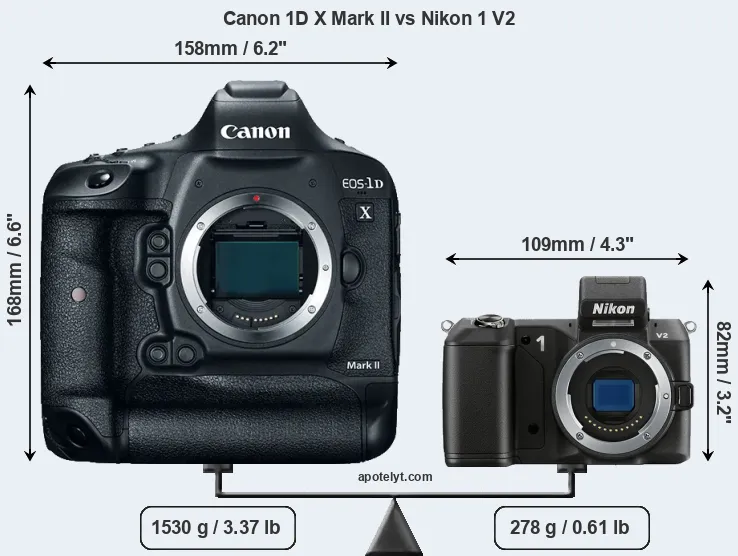 Size Canon 1D X Mark II vs Nikon 1 V2