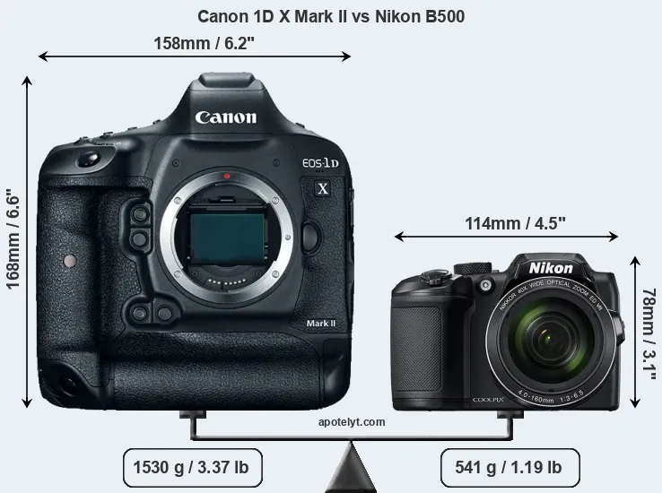 Size Canon 1D X Mark II vs Nikon B500