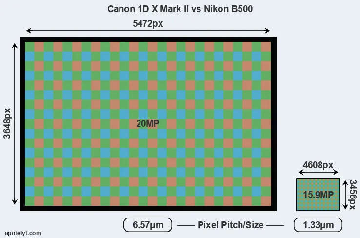 1DX Mark II versus B500 MP