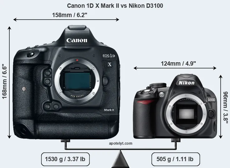 Size Canon 1D X Mark II vs Nikon D3100