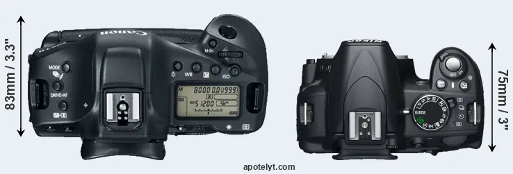 Compare 1DX Mark II versus D3100 top