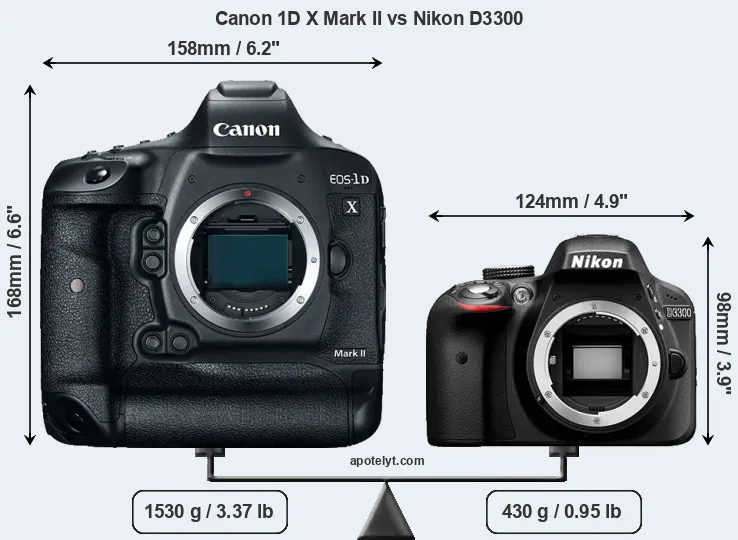 Size Canon 1D X Mark II vs Nikon D3300