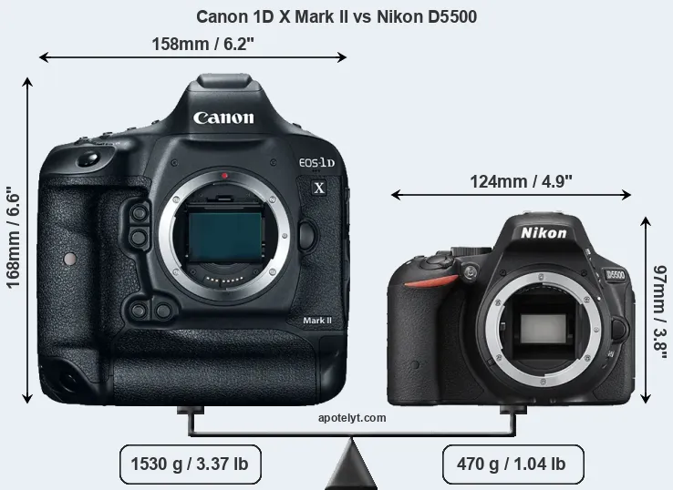 Size Canon 1D X Mark II vs Nikon D5500