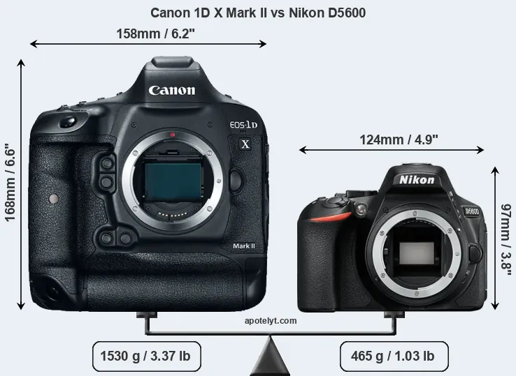 Size Canon 1D X Mark II vs Nikon D5600