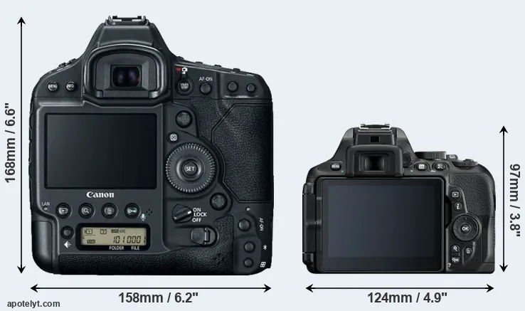 Comparison 1DX Mark II or D5600 rear