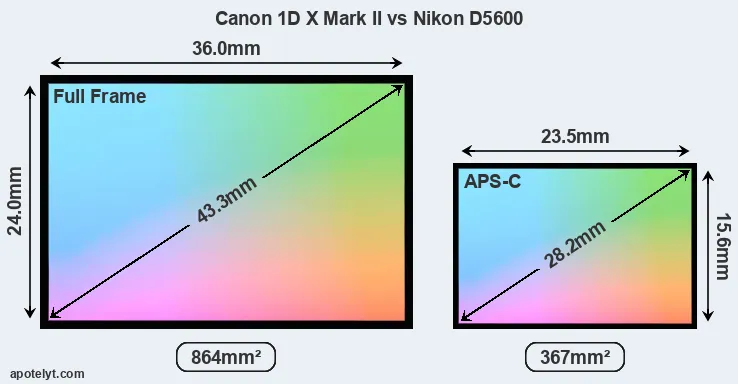 Canon 1D X Mark II and Nikon D5600 sensor measures