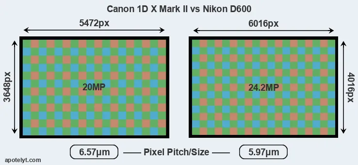 1DX Mark II versus D600 MP