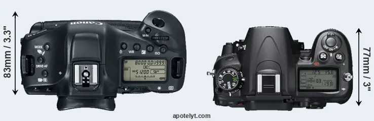 Compare 1DX Mark II versus D7000 top