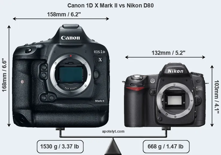 Size Canon 1D X Mark II vs Nikon D80
