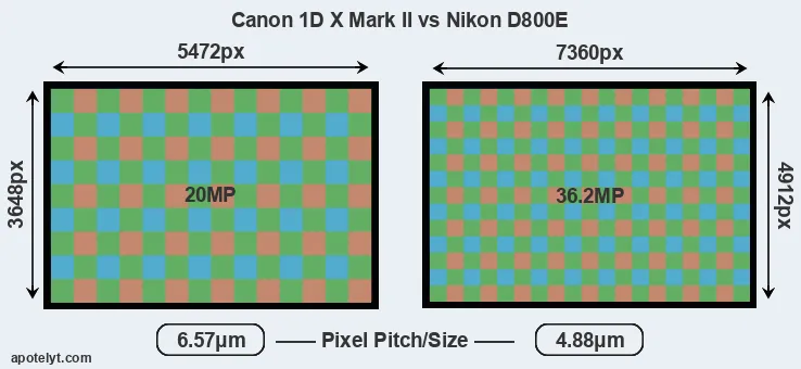 1DX Mark II versus D800E MP