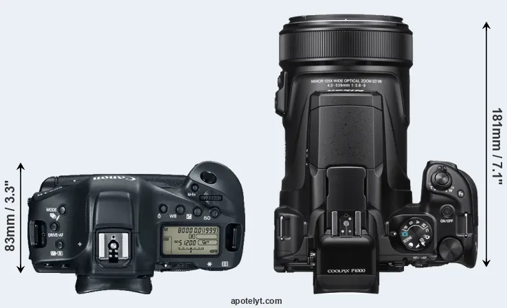 Compare 1DX Mark II versus P1000 top