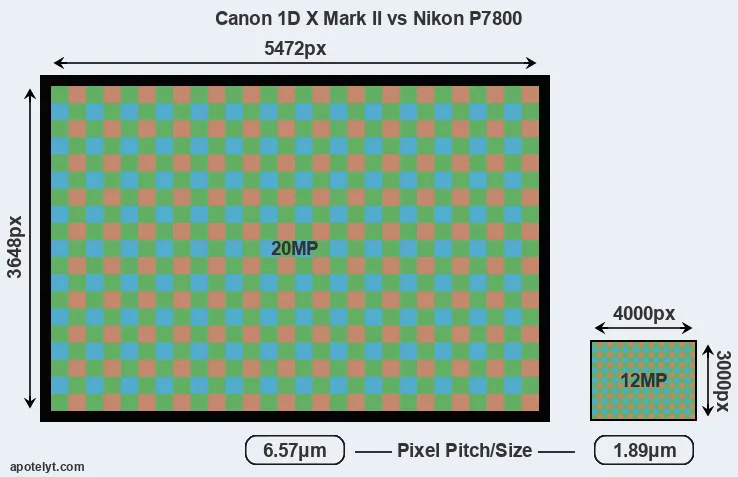 1DX Mark II versus P7800 MP