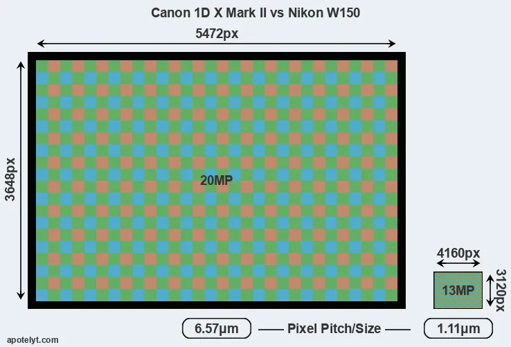 1DX Mark II versus W150 MP