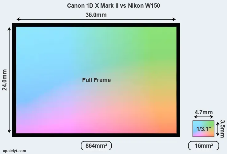 Canon 1D X Mark II and Nikon W150 sensor measures