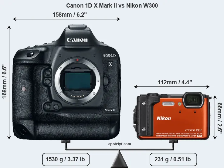 Size Canon 1D X Mark II vs Nikon W300