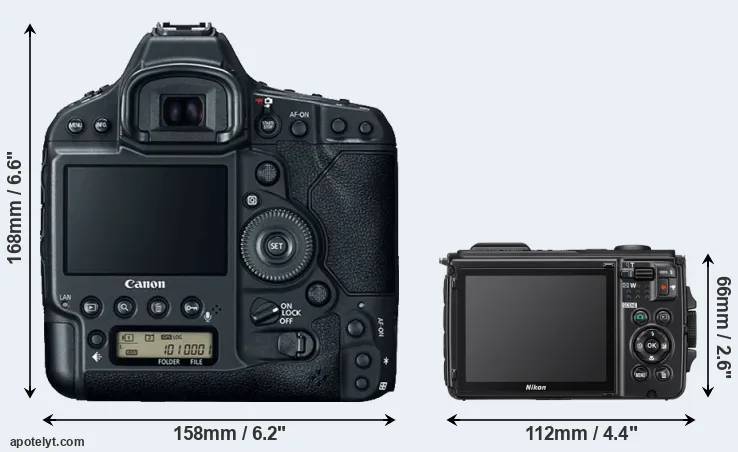 Comparison 1DX Mark II or W300 rear