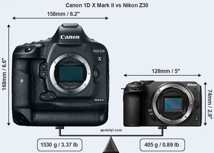 Size Canon 1D X Mark II vs Nikon Z30