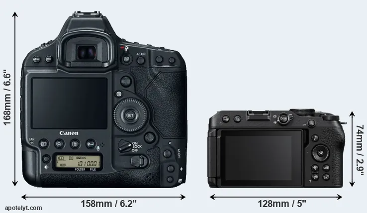 Comparison 1DX Mark II or Z30 rear