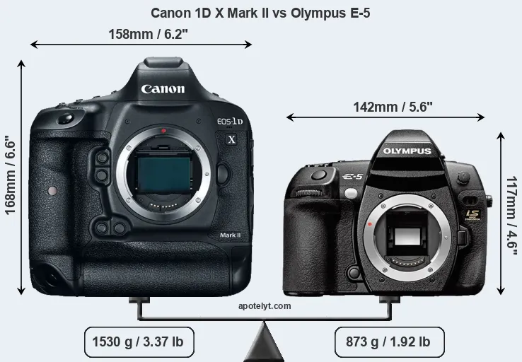 Size Canon 1D X Mark II vs Olympus E-5