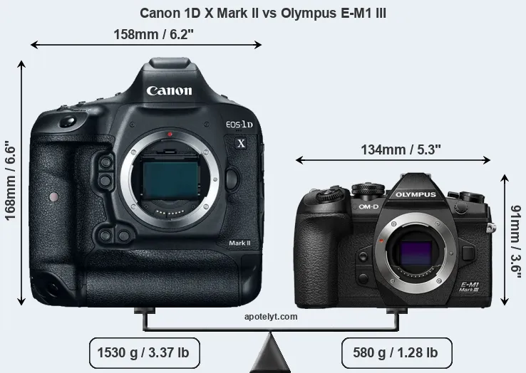 Size Canon 1D X Mark II vs Olympus E-M1 III