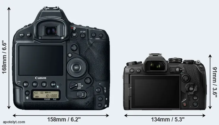 Comparison 1DX Mark II or E-M1 III rear