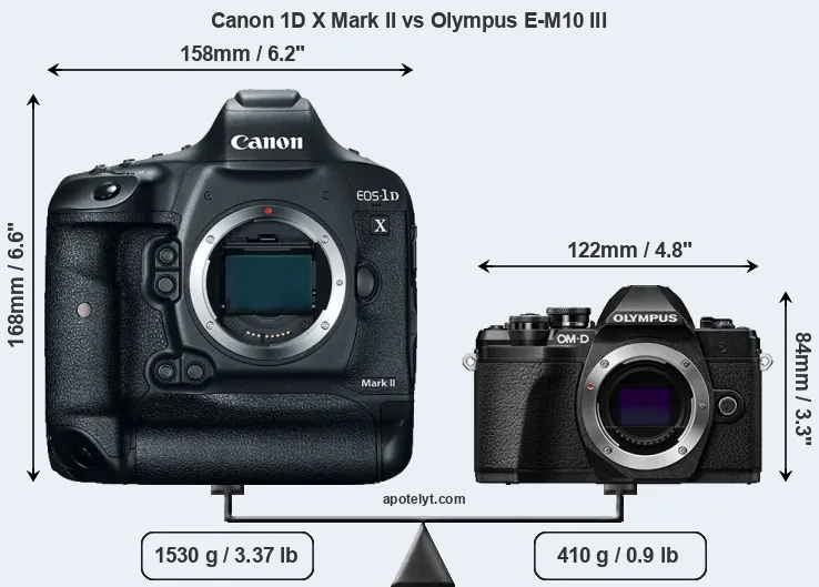 Size Canon 1D X Mark II vs Olympus E-M10 III