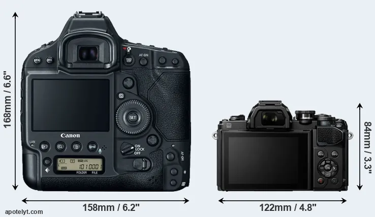 Comparison 1DX Mark II or E-M10 III rear
