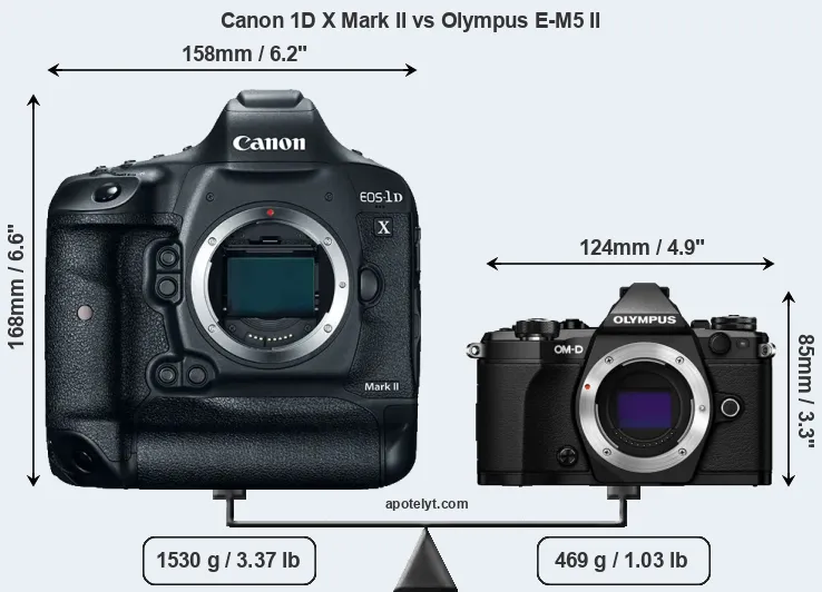 Size Canon 1D X Mark II vs Olympus E-M5 II