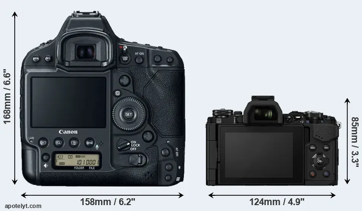 Comparison 1DX Mark II or E-M5 II rear