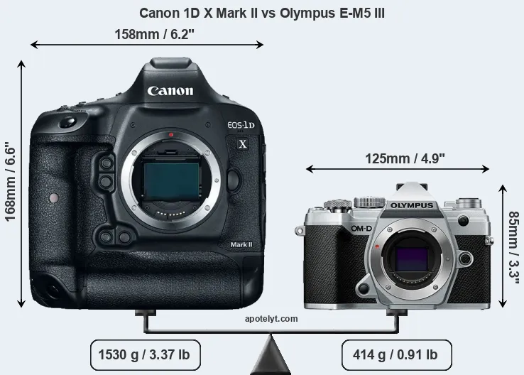 Size Canon 1D X Mark II vs Olympus E-M5 III