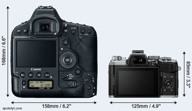 Comparison 1DX Mark II or E-M5 III rear