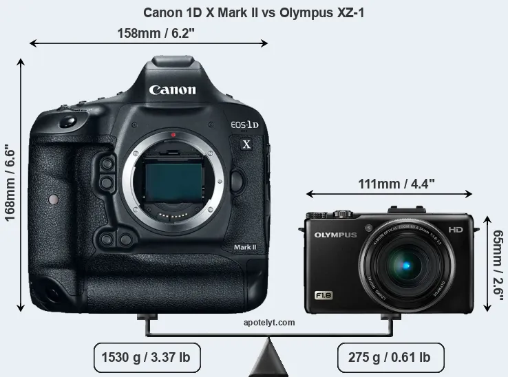 Size Canon 1D X Mark II vs Olympus XZ-1