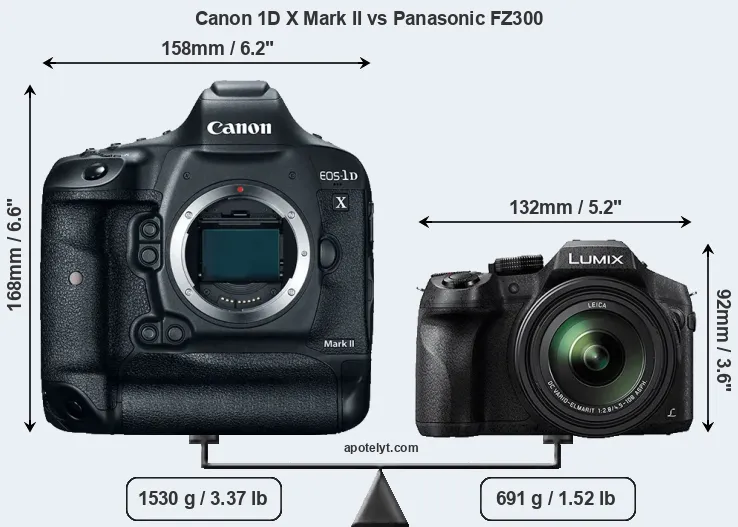 Size Canon 1D X Mark II vs Panasonic FZ300