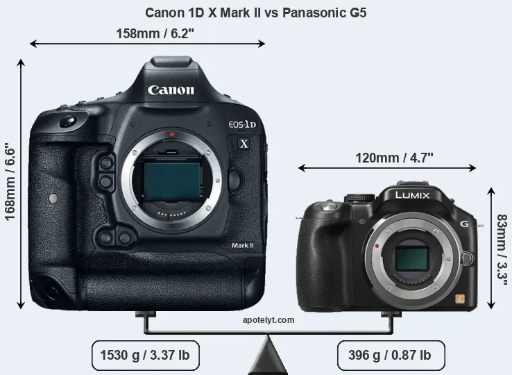 Size Canon 1D X Mark II vs Panasonic G5