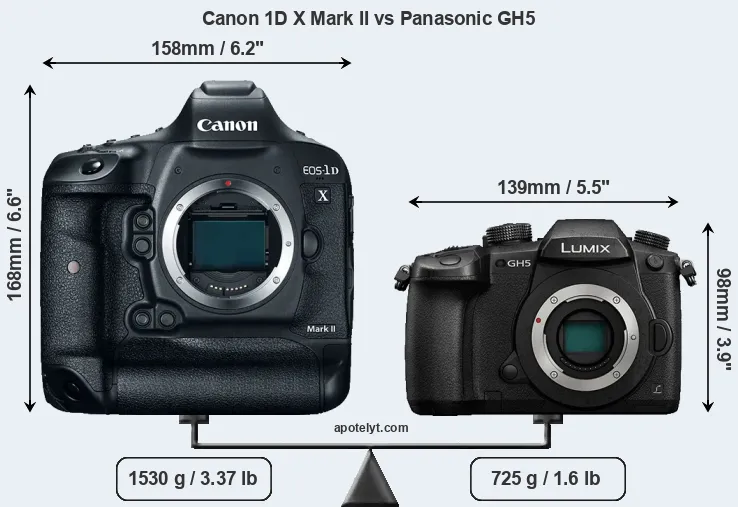 Size Canon 1D X Mark II vs Panasonic GH5