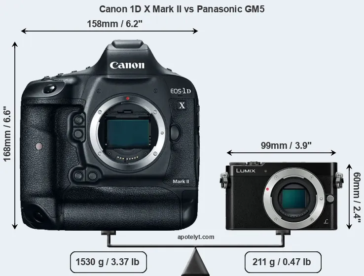 Size Canon 1D X Mark II vs Panasonic GM5