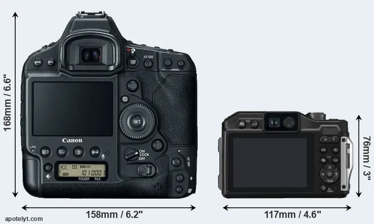 Comparison 1DX Mark II or TS7 rear