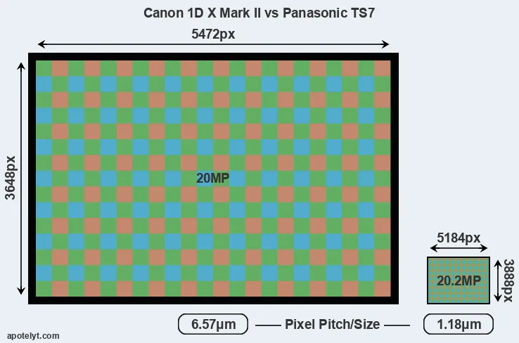 1DX Mark II versus TS7 MP