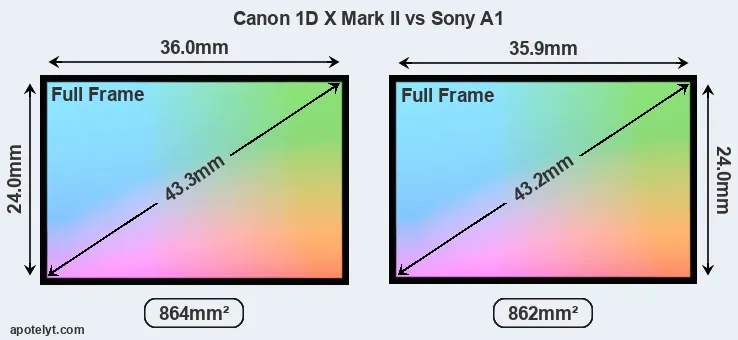 Canon 1D X Mark II and Sony A1 sensor measures