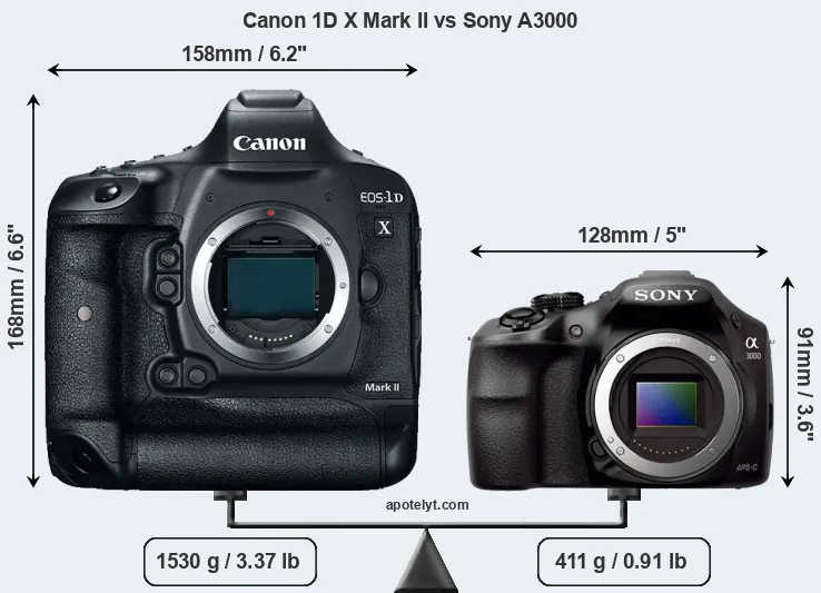 Size Canon 1D X Mark II vs Sony A3000