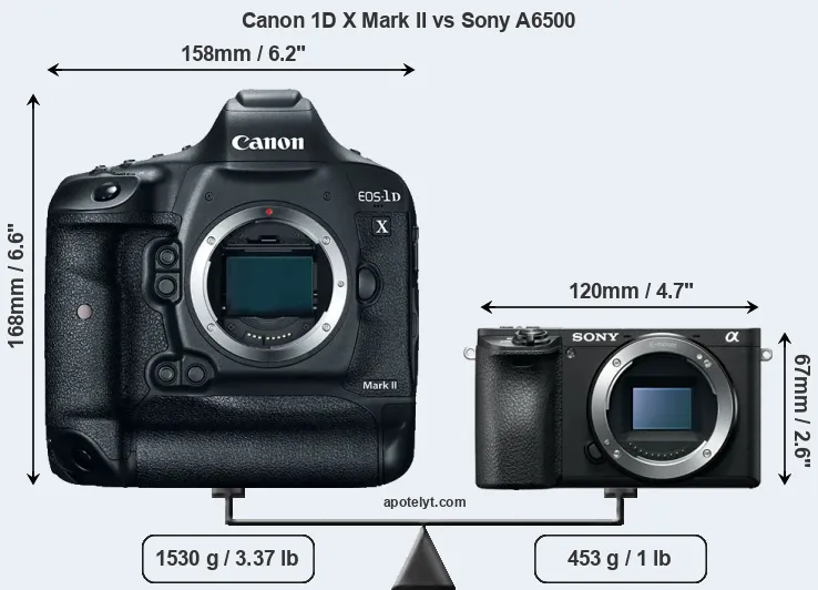 Size Canon 1D X Mark II vs Sony A6500