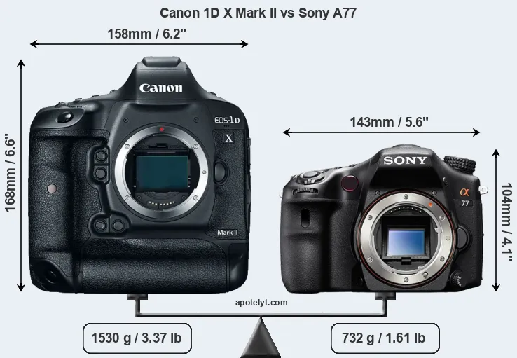 Size Canon 1D X Mark II vs Sony A77