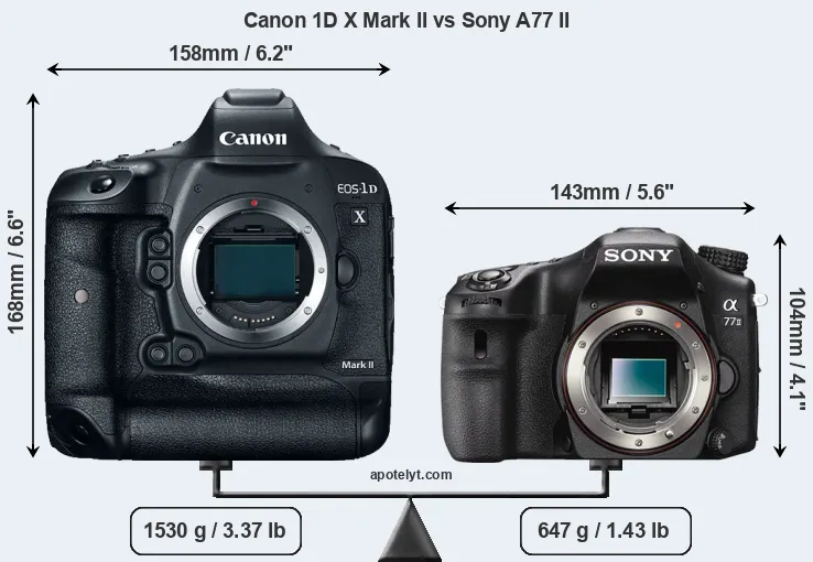 Size Canon 1D X Mark II vs Sony A77 II