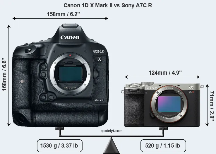 Size Canon 1D X Mark II vs Sony A7C R
