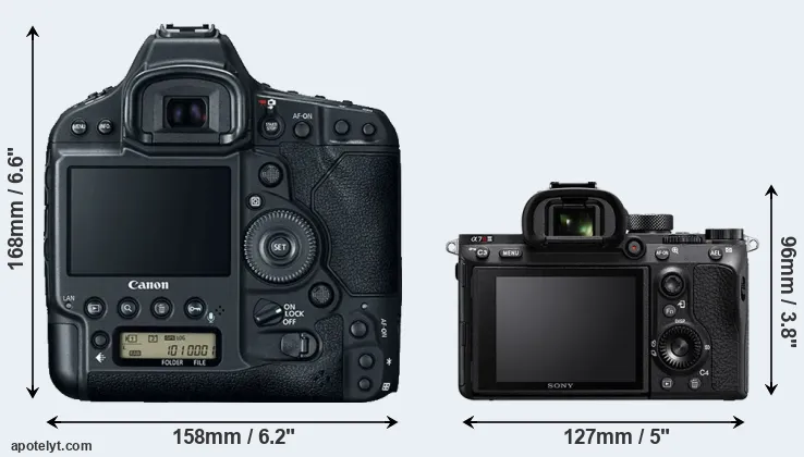 Comparison 1DX Mark II or A7R III rear