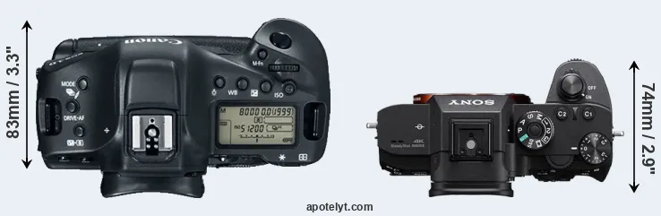 Compare 1DX Mark II versus A7R III top